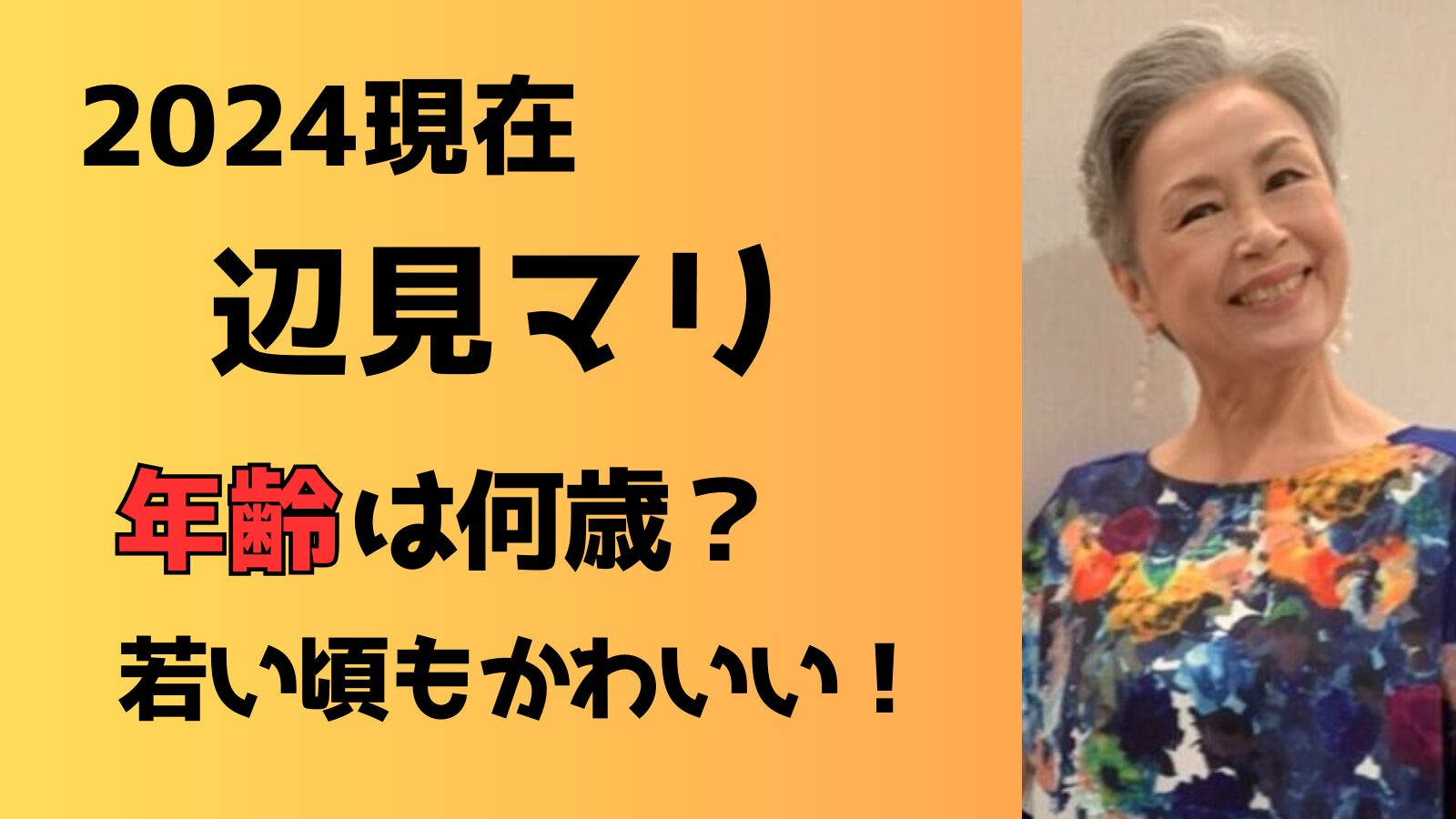 【2024現在】辺見マリの年齢は何歳？