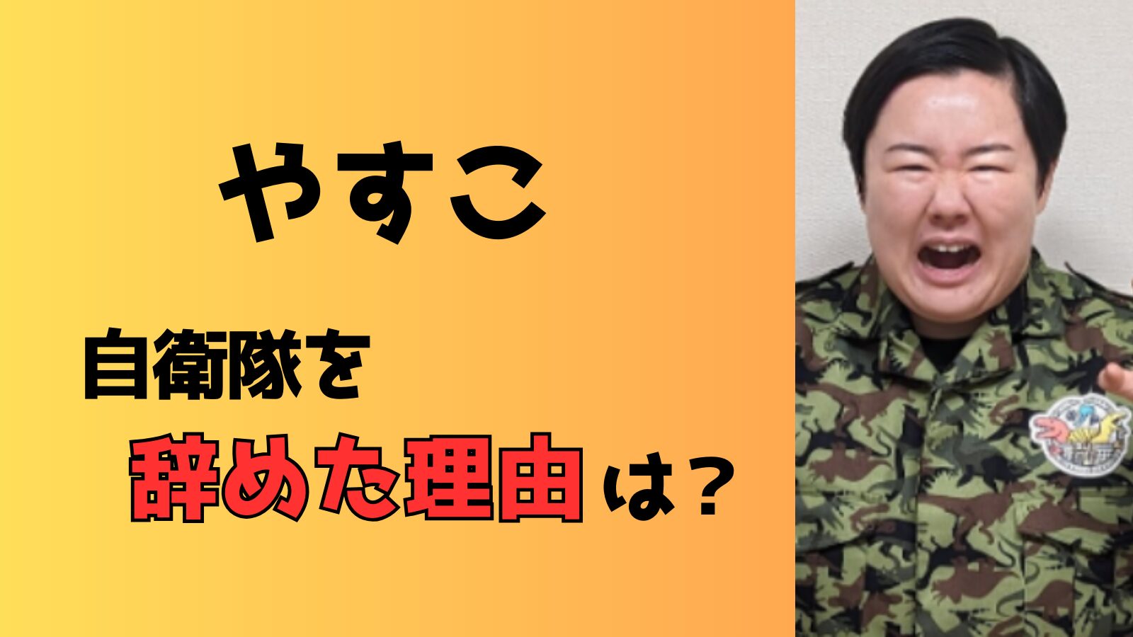 やすこが自衛隊を辞めた本当の理由！